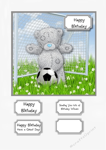 Tatty Teddy Footballer