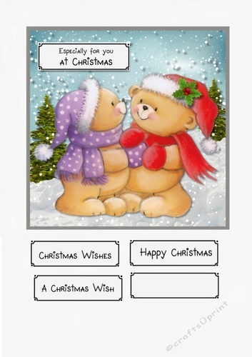 Christmas Bears