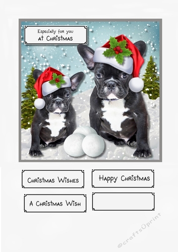 Bulldog Christmas