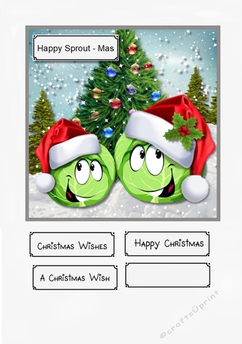 Happy Sprout - Mas