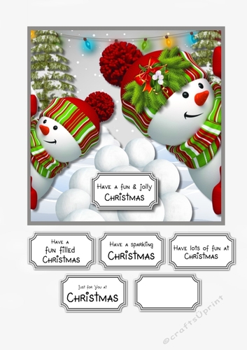 The Snowball Fight