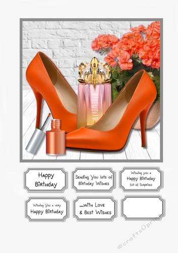 Ladies Accessories Orange