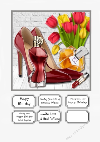 Ladies Accessories