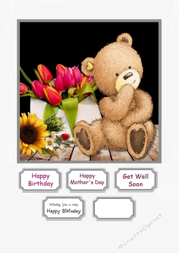 Teddy and Flowers for Birthday, Mothers Day, Get Well etc
