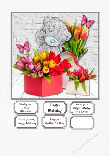 Tatty Teddy with Spring Tulips and Butterflies for Birthday or Mothers Day