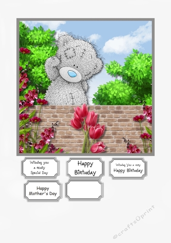 Tatty Teddy Birthday or Mothers Day