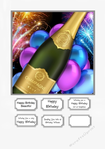 Champagne and Balloons for Birthday or other Celebration