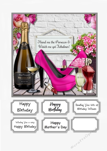 Hand Me The Prosecco and Watch Me Get Fabulous Birthday or Mothers Day