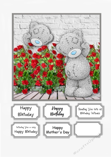 Tatty Teddy Birthday or Mothers Day