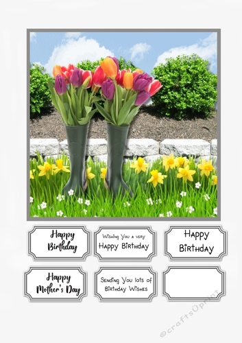 Spring Flowers for Birthday or Mothers Day