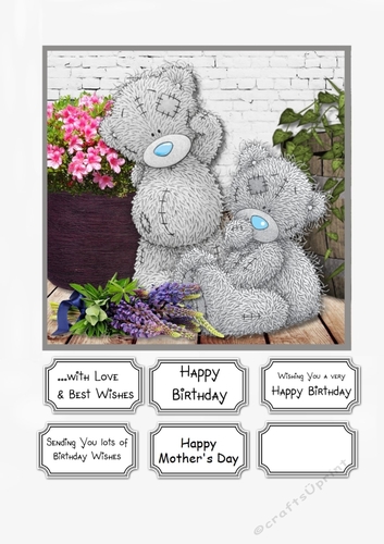 Tatty Teddy with Flowers