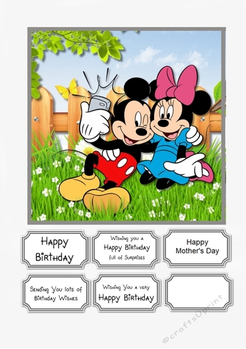 Mickey and Minnie Selfie Birthday