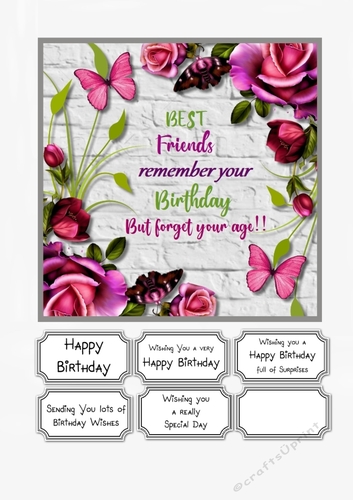 Best Friends Remember your Birthday but forget your age!!