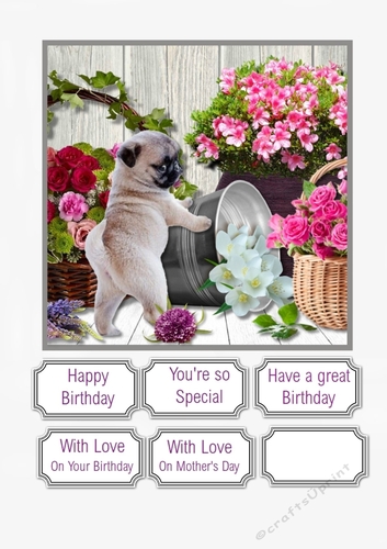 Pug with Flowers for Female Birthday or Mothers Day
