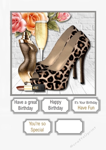 Ladies Accessories
