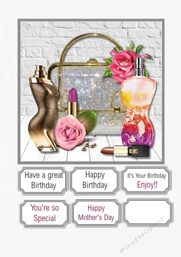 Ladies Accessories