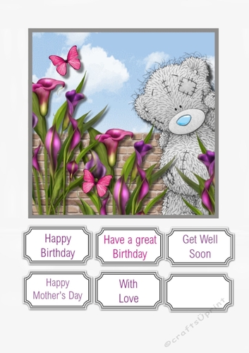 Tatty Teddy and flowers for multi occasion
