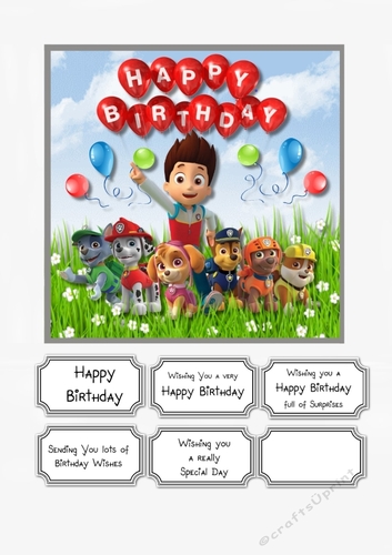 Paw Patrol Birthday