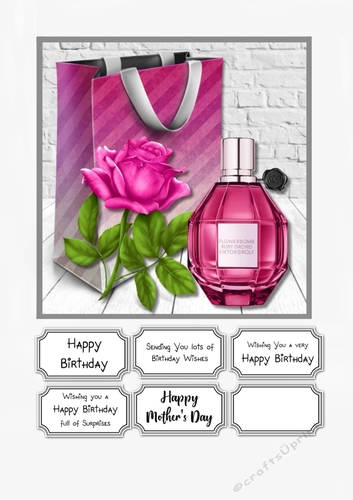 Gift Bag and Perfume