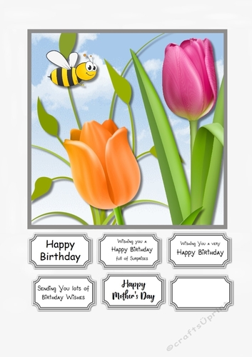 Tulips for Birthday or Mothers Day