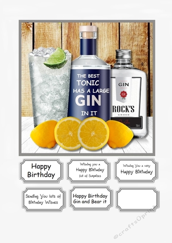 The Best Tonic has a large Gin in it