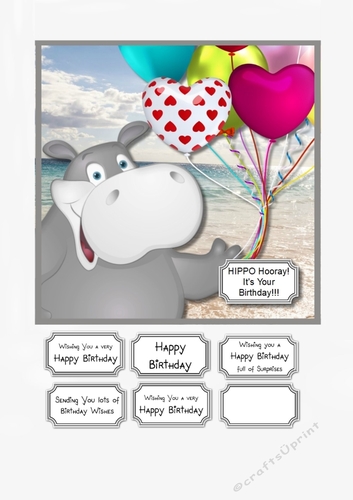 Hippo Hooray its your Birthday