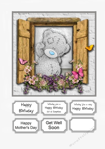 Tatty Teddy Window Box for various occasions