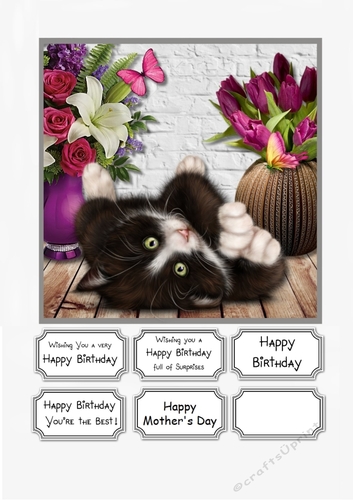 Cute Cat and Flowers for Female Birthday or Mothers Day