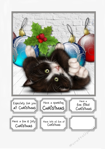 Cat and Christmas Baubles