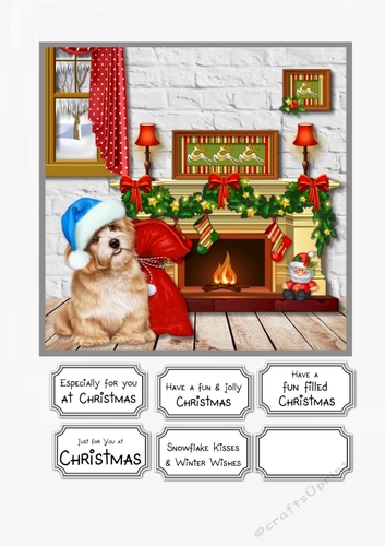 Santas Little Helper