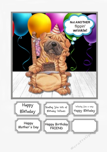 Not another flippin wrinkle humorous card topper