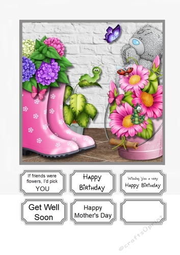 Tatty Teddy with flowers for various occasions