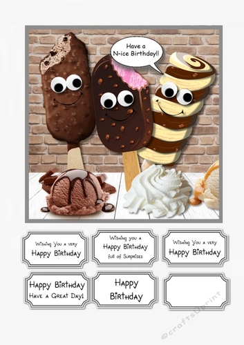 Have a N-ice Birthday