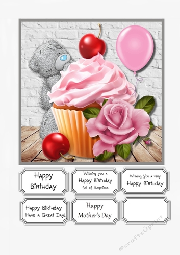 Tatty Teddy with cupcake for Birthday or Mothers Day