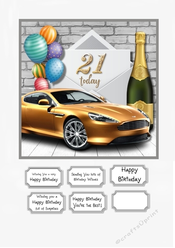 21st Birthday Male