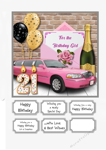 21st Birthday Female Stretched Limo