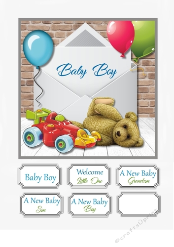 New Baby Boy