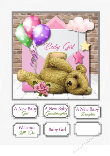 New Baby Girl