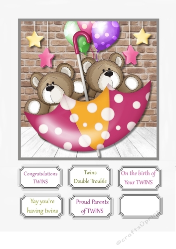 Congratulations on the birth of TWINS