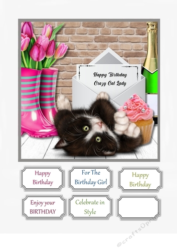 Crazy Cat Lady Birthday