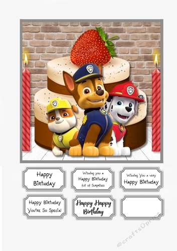 Paw Patrol Birthday
