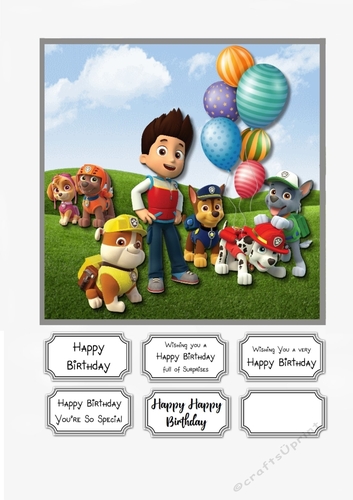 Paw Patrol Birthday