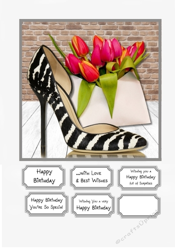 Just the right shoe