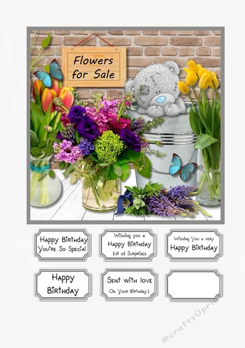 Tatty Teddy Flowers for Sale