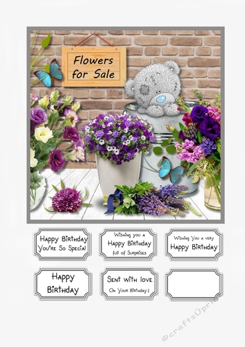 Tatty Teddy Flowers for Sale