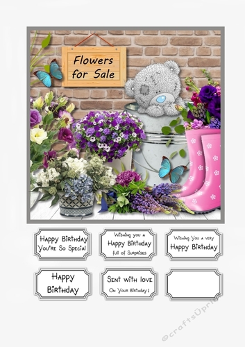 Tatty Teddy Flowers for Sale