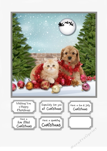 Waiting for Santa Paws
