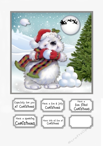 The Snowball Fight