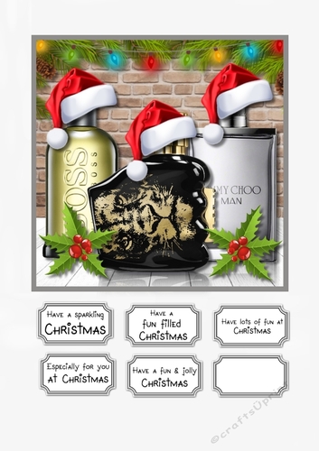 Mans Plan Christmas