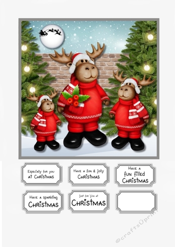 Christmas Reindeer Family